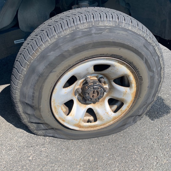 Meet your Posher, Jaime - Picture 1 of 1